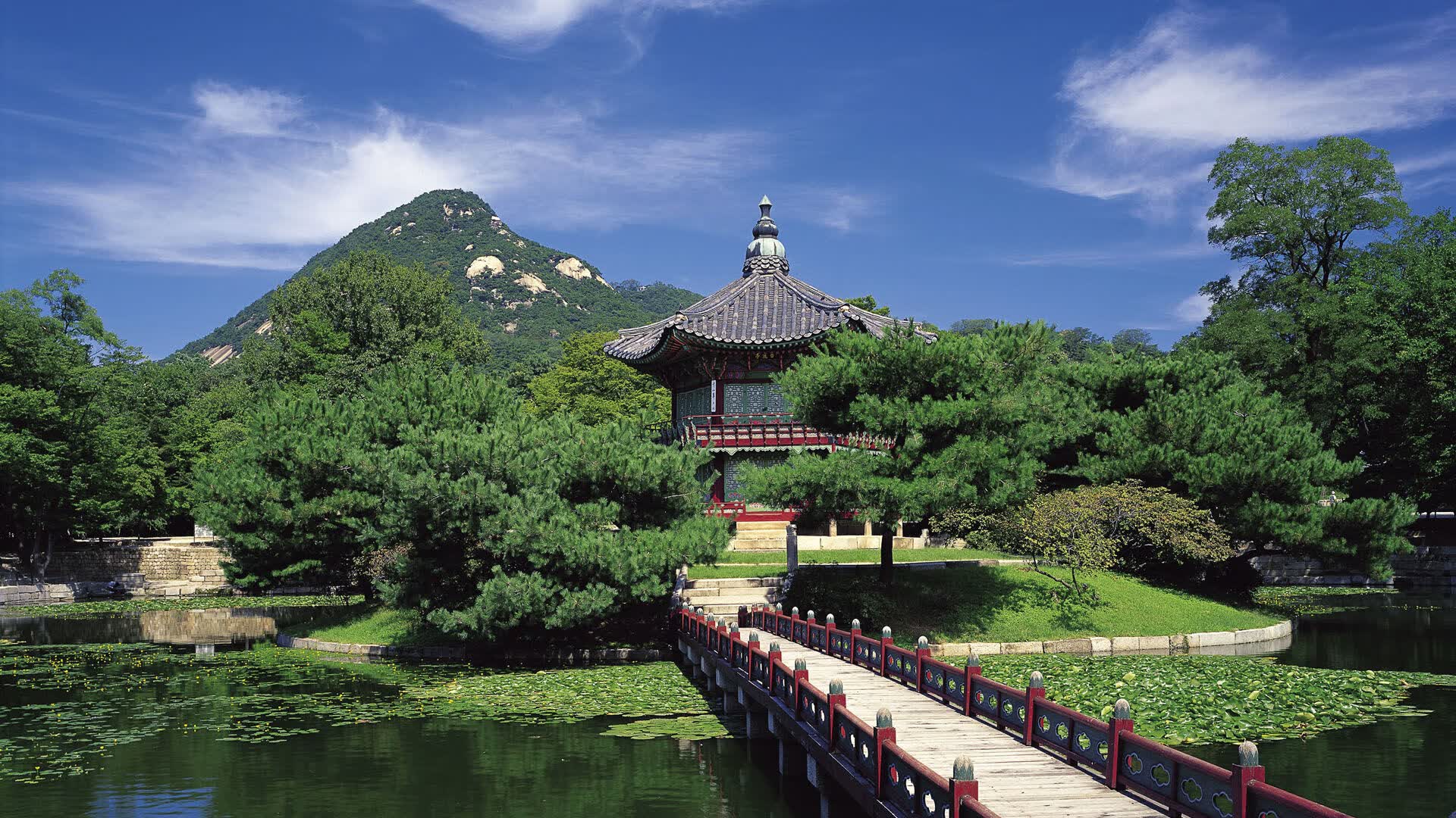世界登山公益攀登：募捐与环保并重赢得社会支持，世界攀登冠军